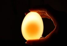 1 quả trứng vịt bao nhiêu calo cách chọn trứng vịt