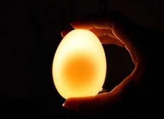 1 quả trứng vịt bao nhiêu calo cách chọn trứng vịt