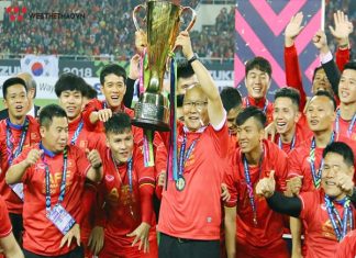 Việt nam vô địch AFF Cup năm nào